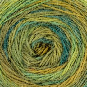 Photo of 'Cassowary' yarn