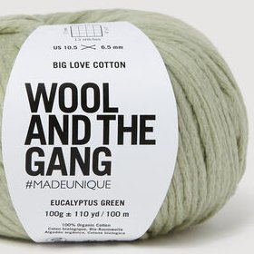 Photo of 'Big Love Cotton' yarn