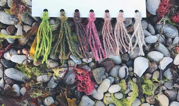 Pebbles on a beach in shades of blue, pink and gray, with some pink and green seaweeds. Yarns matching the different colors have been attached to a white card.