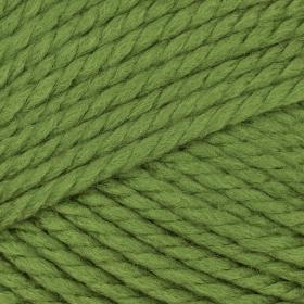 Photo of 'Pacific Chunky' yarn