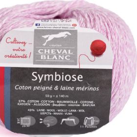 Photo of 'Symbiose' yarn