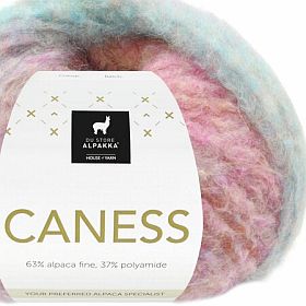 Photo of 'Caness' yarn