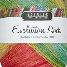 Photo of 'Evolution Sock' yarn