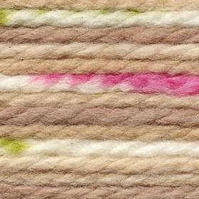 Photo of 'Baby Blossom Chunky' yarn