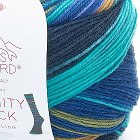 Photo of 'Infinity Sock' yarn