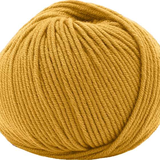 Photo of 'Maxi Soft' yarn