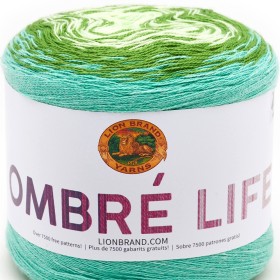 Photo of 'Ombré Life' yarn