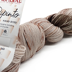 Photo of 'Dipinto' yarn