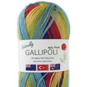 Photo of 'Gallipoli 4-ply' yarn