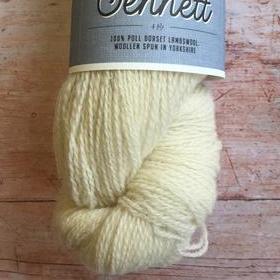 Photo of 'Jennett' yarn