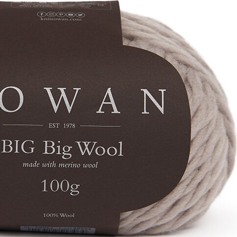 Photo of 'BIG Big Wool' yarn