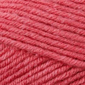 Photo of 'Classic Worsted' yarn