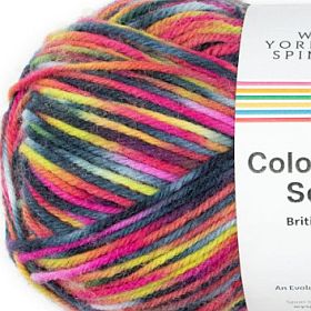 Photo of 'ColourLab Sock DK' yarn