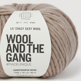 Photo of 'Lil' Crazy Sexy Wool' yarn