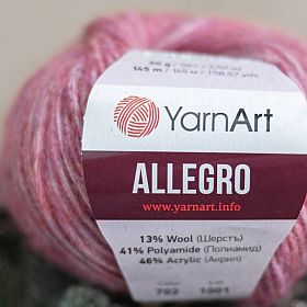 Photo of 'Allegro' yarn